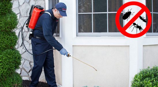 Dikmen Gümüşkurt İlaçlama böcek ilaçlama ve haşere kontrolü — ilaclama-tr.com
